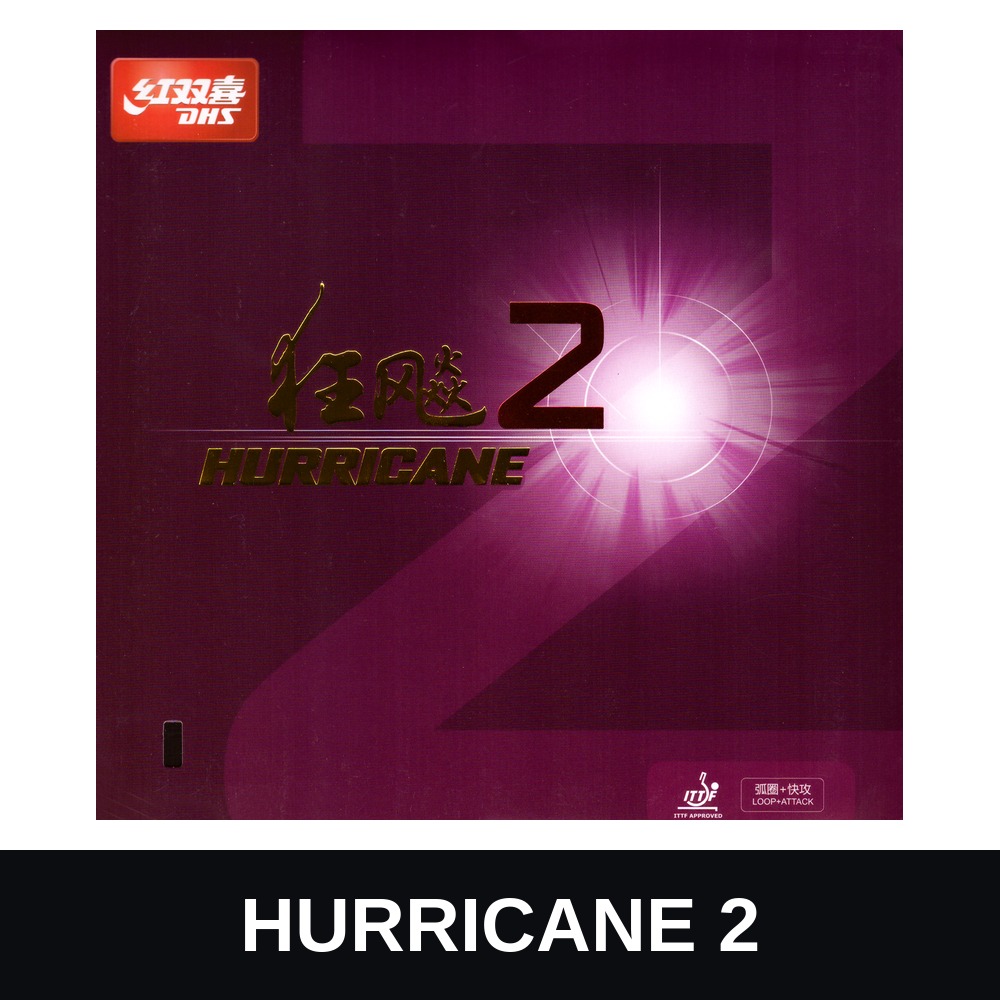 DHS HURRICANE 2