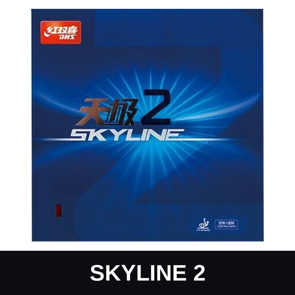 DHS SKYLINE 2